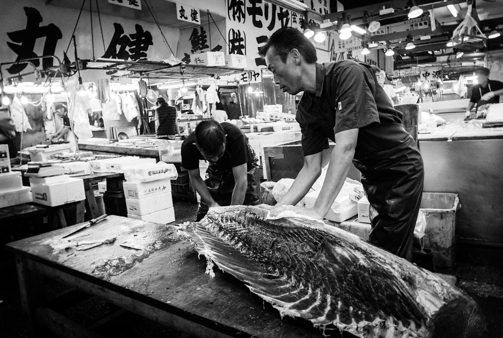 Fish-Market-21.jpg